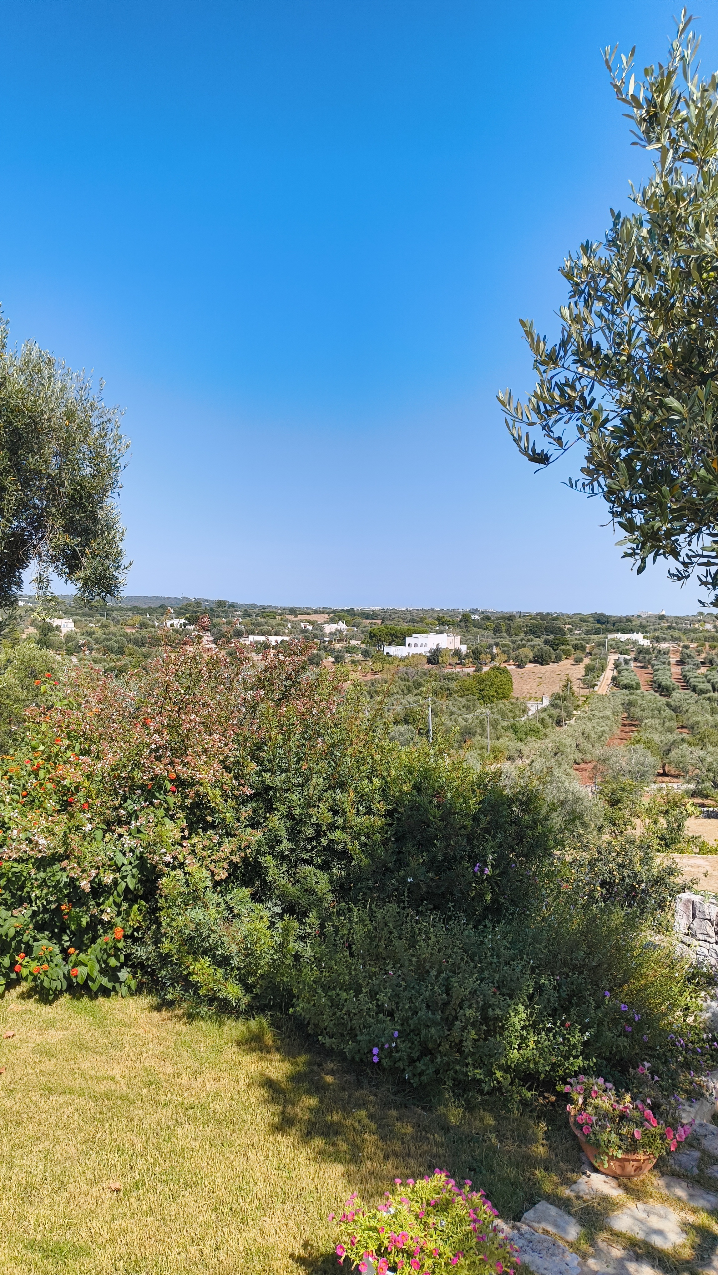 Campagna pugliese